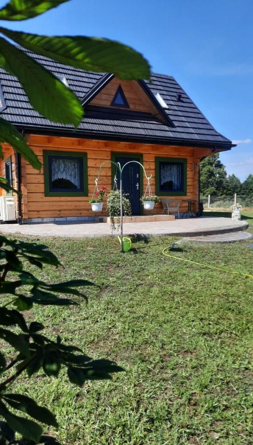 Domek Do Wynajecia - Siedlisko Przy Lesie Rzasnik Exterior foto